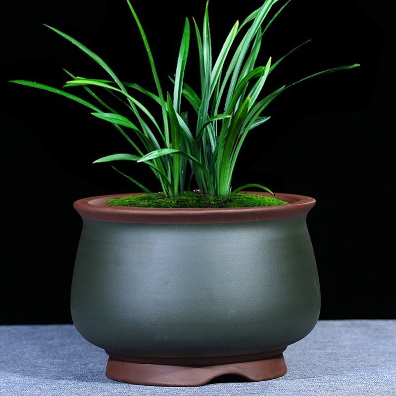 君子兰花盆紫砂专用兰花盆紫砂绿萝绿色紫砂代发一件代发厂家直销