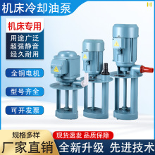 机床冷却泵 机床油泵DB型AB型JCB型机床泵三相电泵机床泵车床水泵