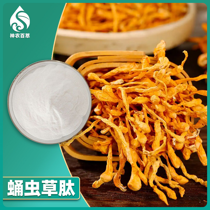 蛹虫草肽 水溶性 小分子活性肽 虫草菌丝蛋白肽 低聚肽 厂 家现货