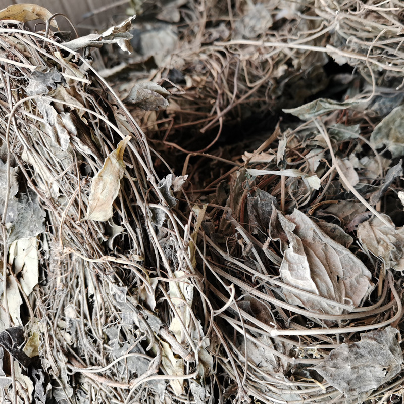 散装百灵草1斤(500g)沙县邓碧贞小吃配料店农产品称斤商用包邮