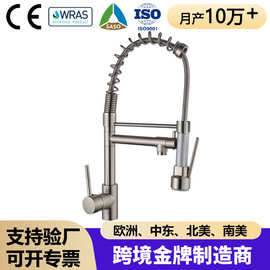 外贸弹簧双出水龙头跨境冷热水黄铜镍拉丝美式旋转拉伸水槽水龙头
