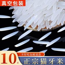 猫牙米长粒香米晚稻新米一级丝苗米长大米2022批发煲仔饭炒饭