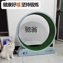 ncj圆形猫咪跑步塑料大号特价猫爬架新款环保滚轮猫咪减肥运动器