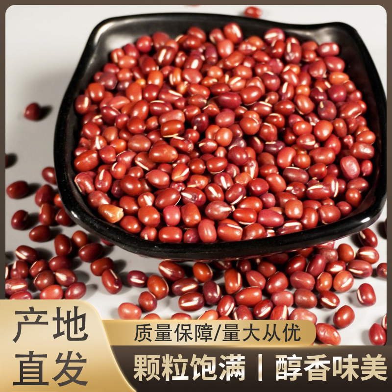 红小豆黑龙江红豆新货农家种植手选东北红豆干净无杂口感香糯批发