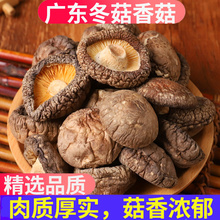 香菇干货500g广东农家新鲜野生椴木菌菇蘑菇花菇小冬菇新货