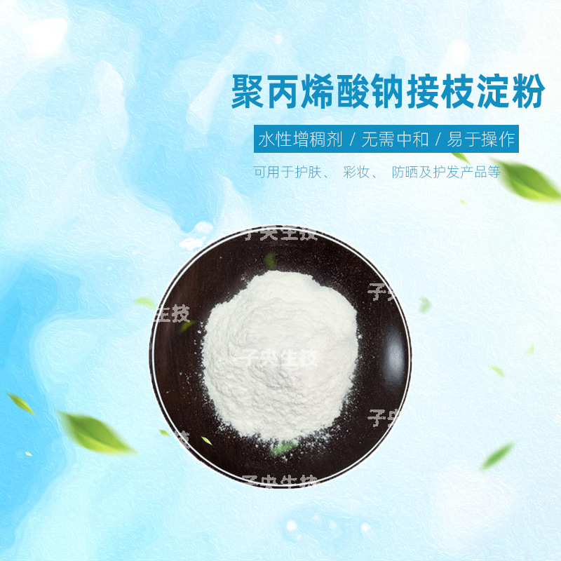 日本聚丙烯酸钠接枝淀粉 水性增稠剂无需中和 易操作护肤护发原料
