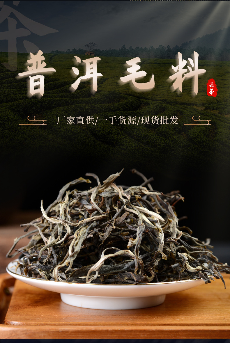 云南生普茶叶现货批发普洱毛料散茶150g生茶家庭饮用茶叶一手货源