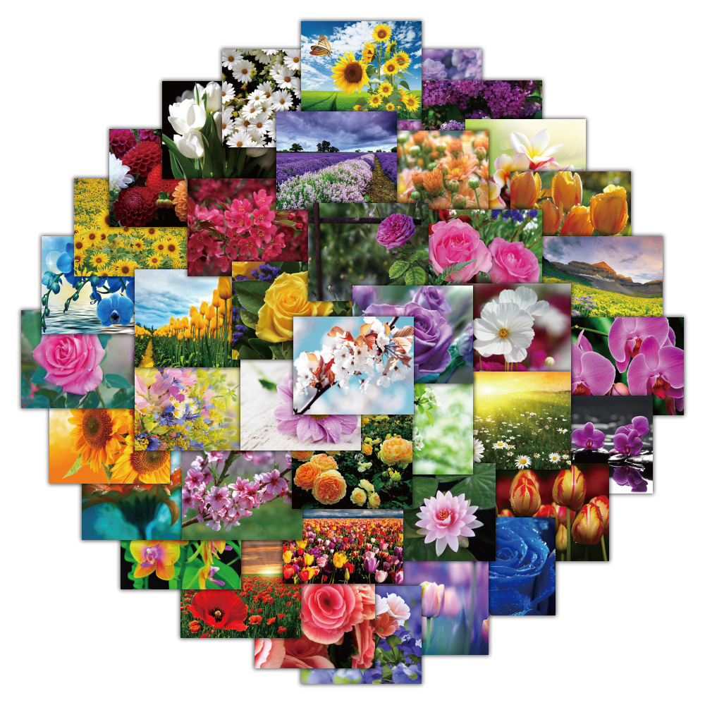 50张植物美丽鲜花花朵贴纸diy手机壳笔记本行李箱防水手账贴纸包