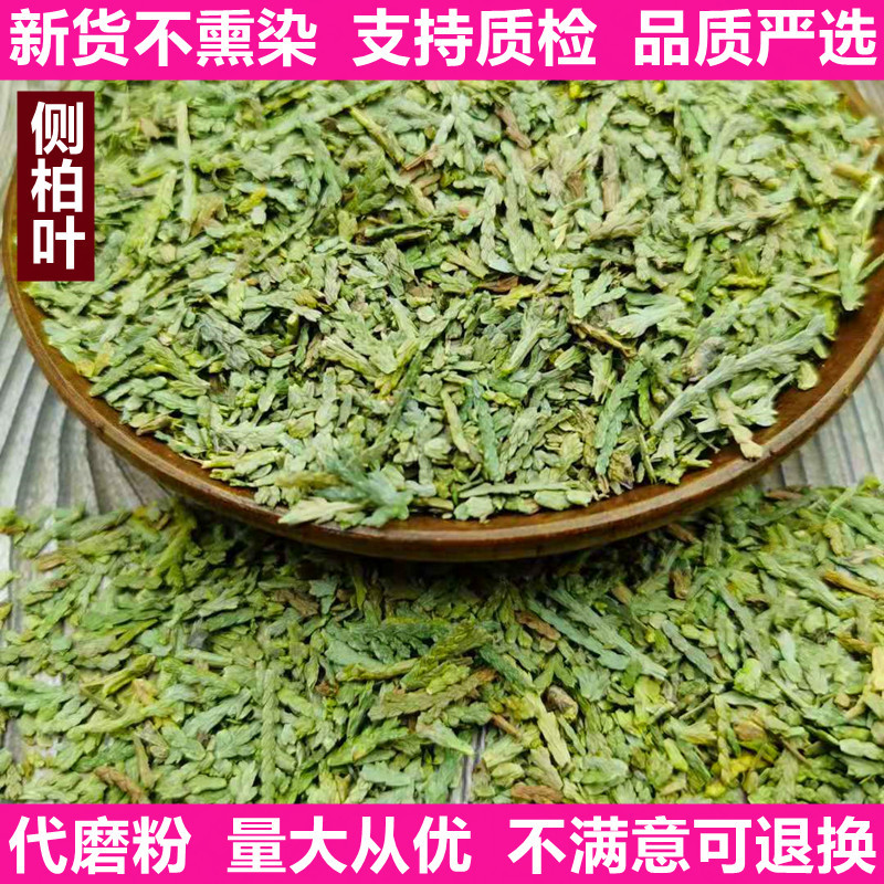 批发侧柏叶新货不熏染农产品可质检药材原料可质检侧柏叶粉柏树叶