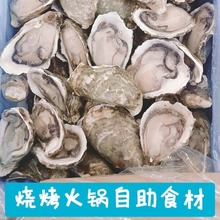 生蚝鲜冻半壳生蚝肉新鲜牡蛎带壳海蛎海鲜水产烧烤自助火锅整箱