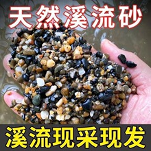 棙T溪流石雨花石鱼缸专用铺底造景装饰溪流砂铺面小石子过滤