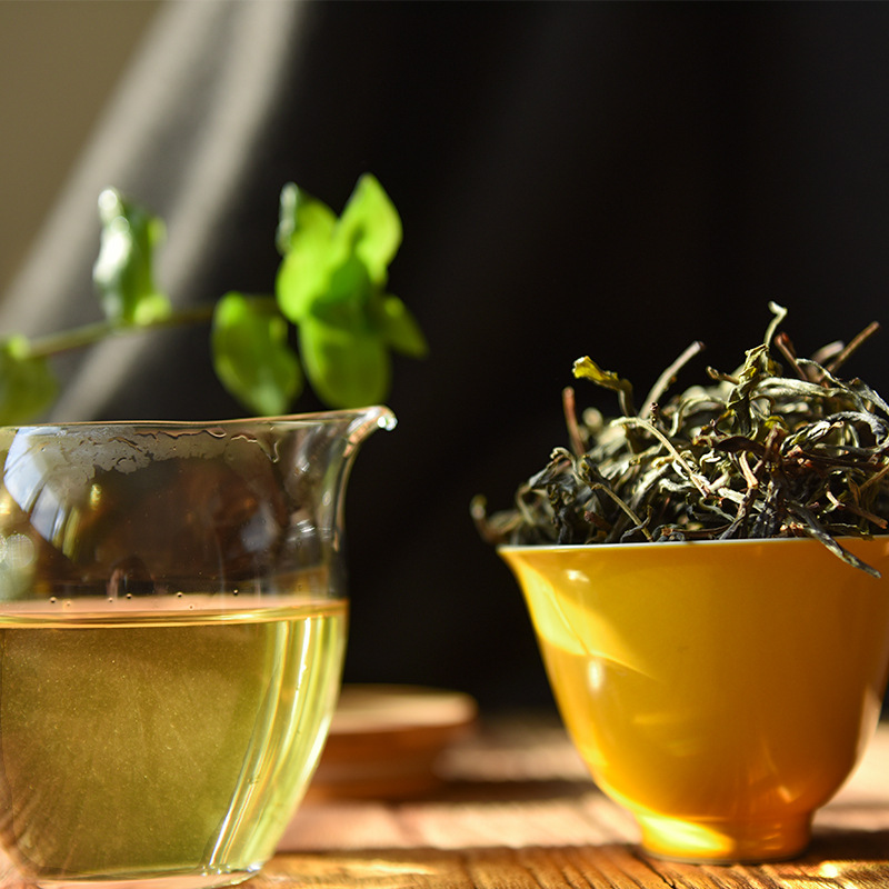 邦东生茶头春散茶散料2022年 临沧邦东普洱茶生茶 古树茶茶叶批发