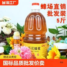 5斤土蜂蜜花天然柚子茶官方旗舰包纯装农家大桶商用结晶
