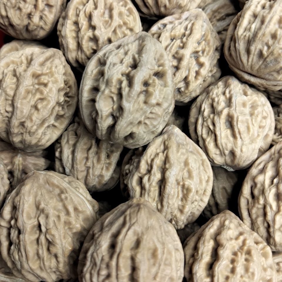 门头沟八棱野生小秋子核桃散子各种品相尺寸应有尽有手串手持脖挂