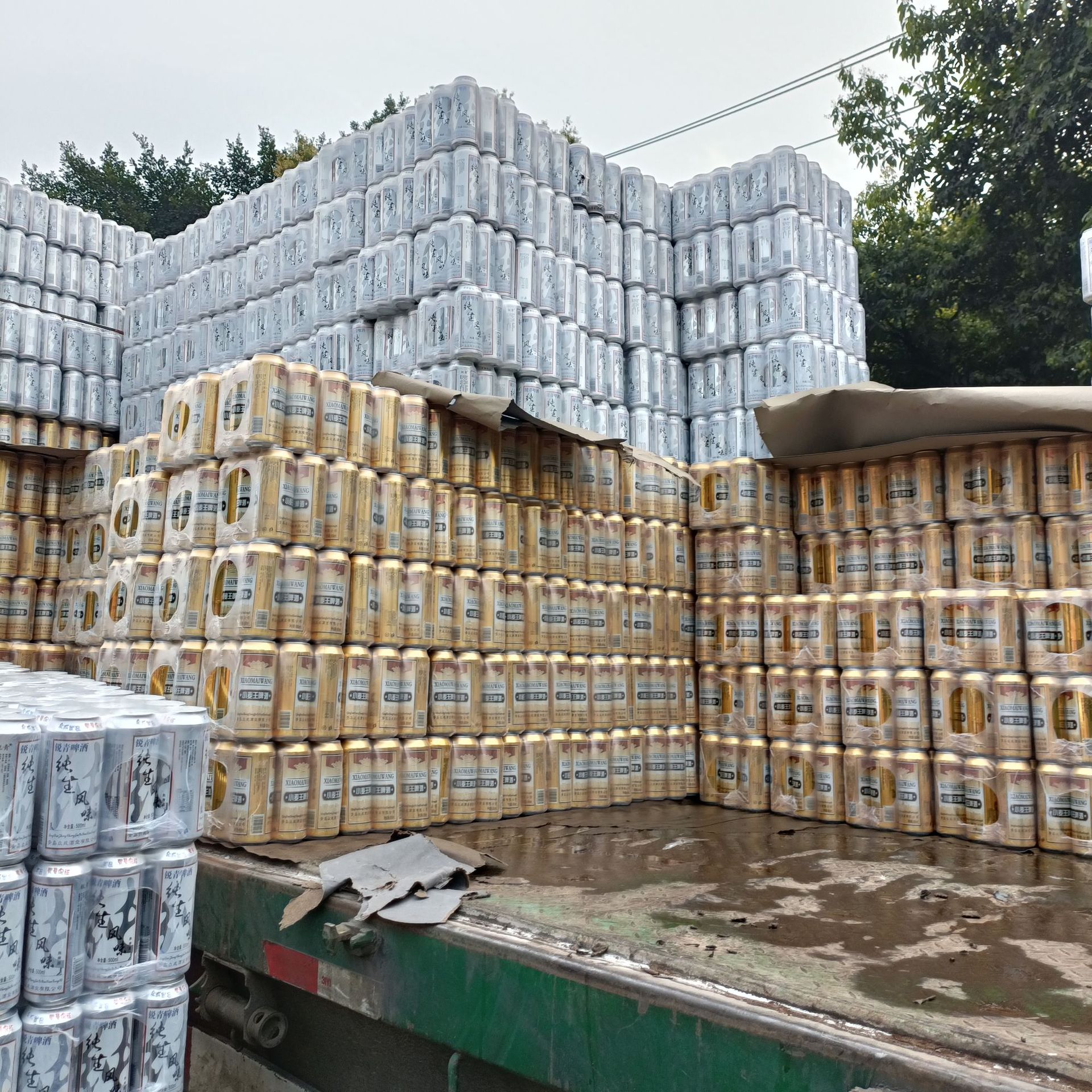 青岛风味纯生啤酒小麦王跑江湖地摊夜市大排档夜宵火锅啤酒批发