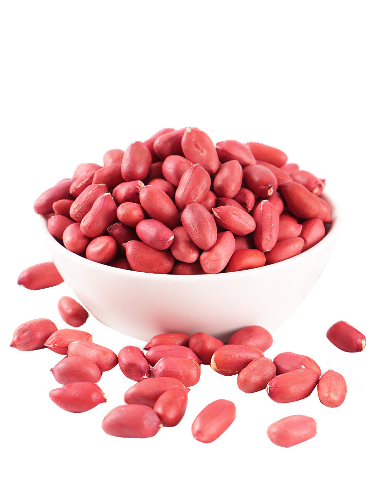 东北红皮花生米生新500g新鲜花生仁不带壳四粒红衣生花生新货