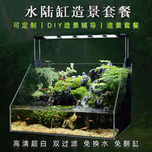 水陆缸造景套餐材料白玻璃鱼缸生态雨林装饰植物景观草缸订作代发