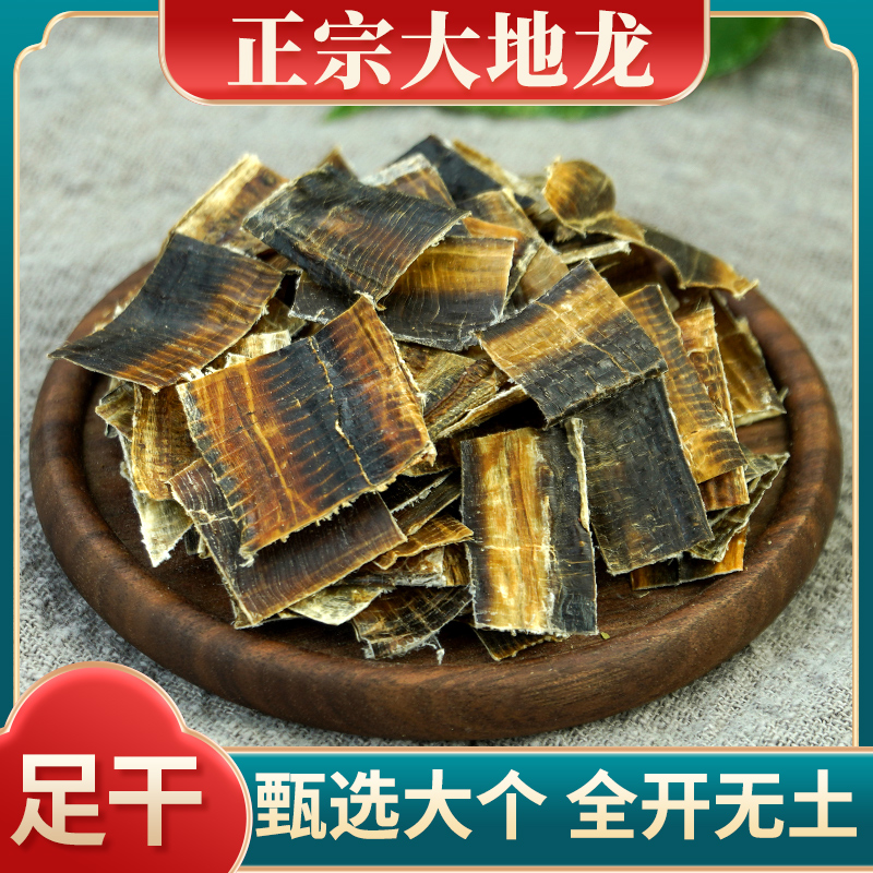 地龙材100g干地龙 地龙粉非野生食用广西广地龙 蚯蚓干地龙干