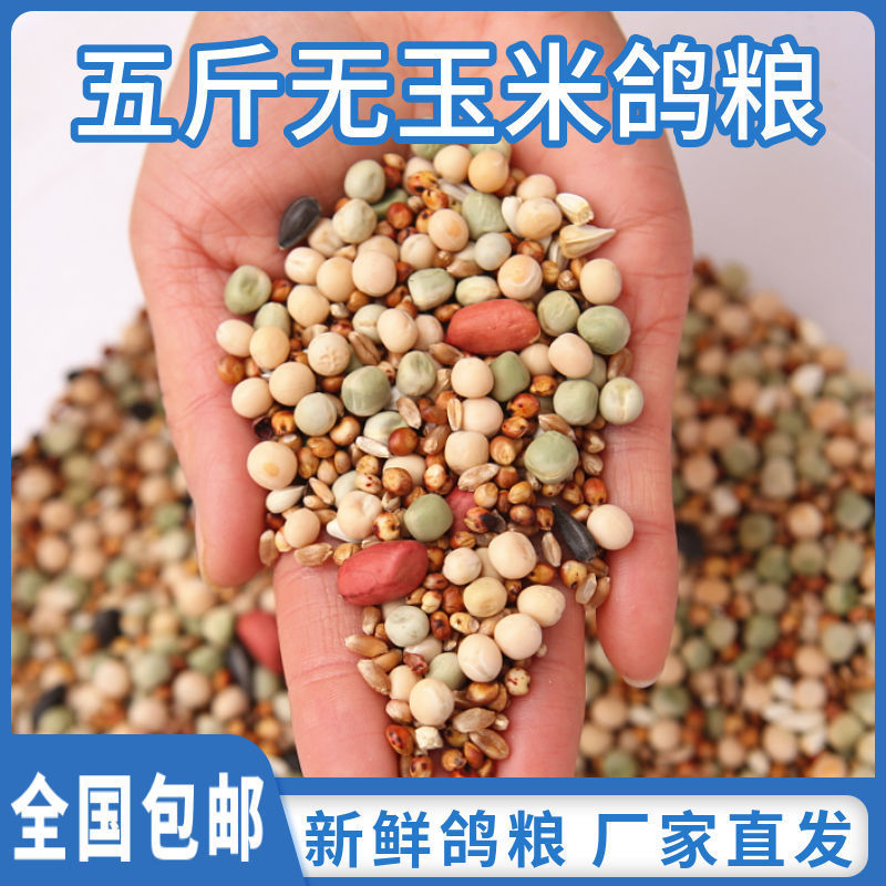鸽子粮批发5斤/10斤精品无玉米鸽鸟食饲料粮食幼鸽信鸽观赏鸽包邮