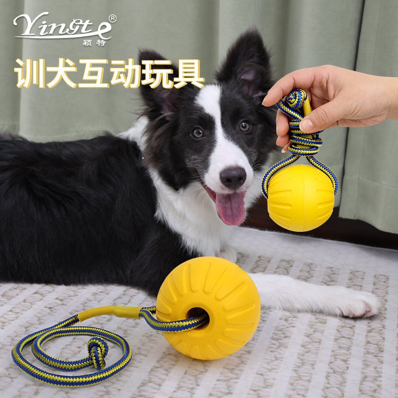 狗狗玩具球 宠物用品训犬球耐咬浮水球 耐咬磨牙 厂家批发-阿里巴巴