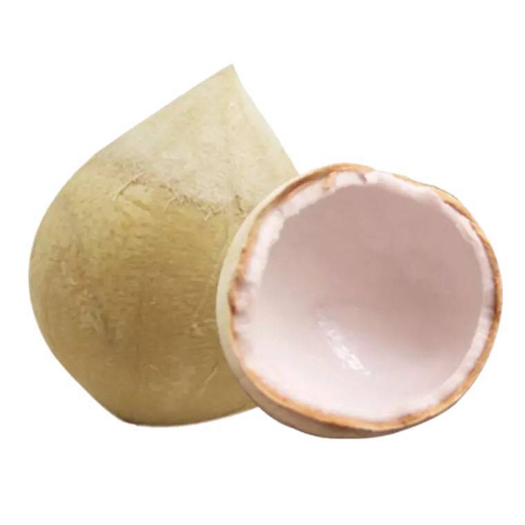 泰国牛奶椰皇新鲜小椰子水果小香椰香水椰王椰奶椰青奶香椰汁孕妇