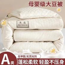 A类母婴级华夫格大豆纤维春秋被子加厚保暖棉冬被芯学生宿舍家用