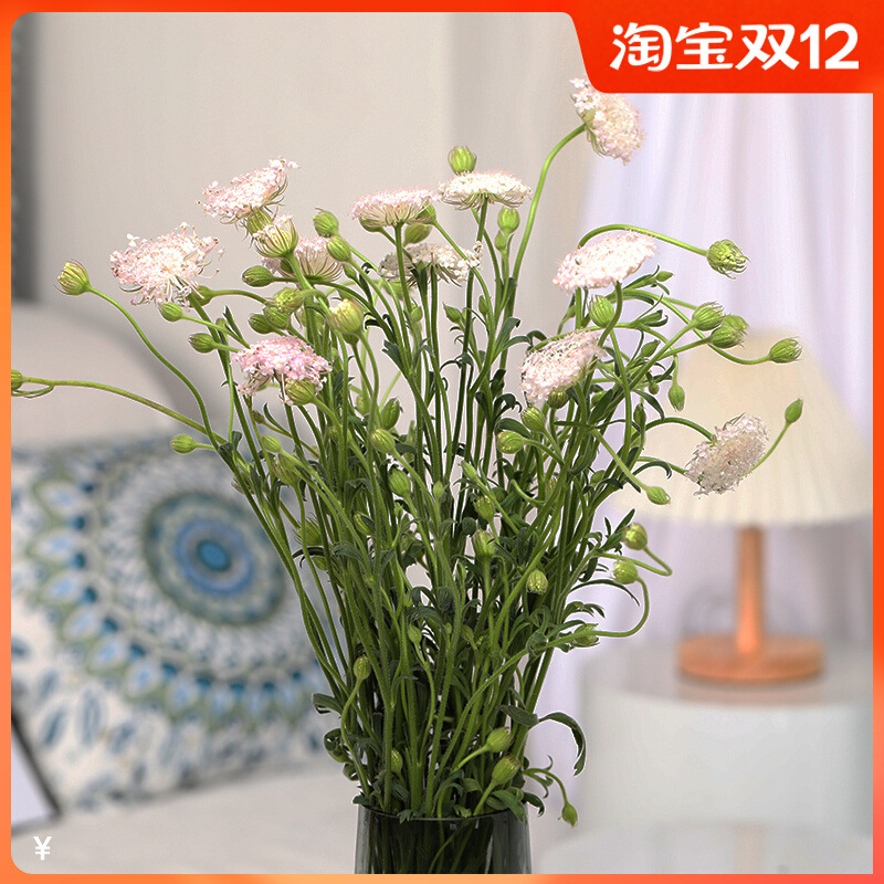 翠竹鲜花基地云南直发家用会议室内装饰瓶插鲜切花卉绿植