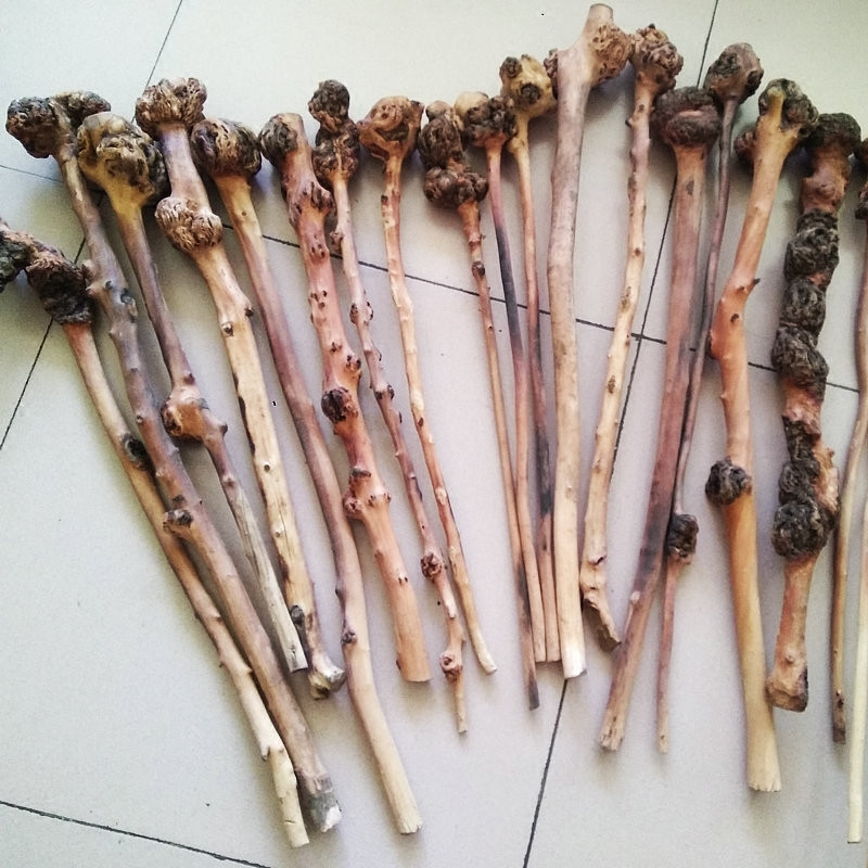 树瘤疙瘩木云南黑果木背锤捶背木雕树瘤原生