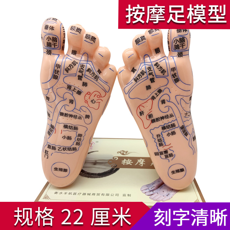 足部穴位模型刻字足底穴位反射区按摩器足疗点穴棒脚推拿保健养生