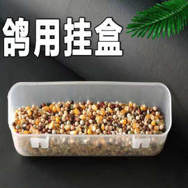 批发鸽子食盒 透明长挂盒养殖信鸽肉鸽平底长形笼 外挂鸟料盒料槽