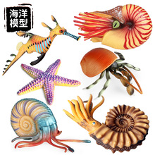 儿童认知远古仿真动物模型实心海洋海马海星鹦鹉螺寄居蟹玩具摆件