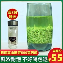 高档信阳毛尖2024新茶叶明前断芽碎茶绿茶散装茶末浓香口粮茶500g