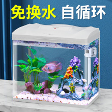 鱼缸水族箱生态桌面金鱼缸玻璃小型客厅制氧过滤免换水家用缸