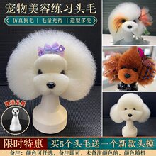 宠物美容狗头毛模特泰迪犬头部模型假狗骨架宠物学校练习