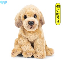 Cute puppy plush toys Stuffed animals