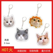 猫咪挂饰猫猫宠物防丢ins挂件猫牌周边身份证猫屋装饰钥匙扣Q版