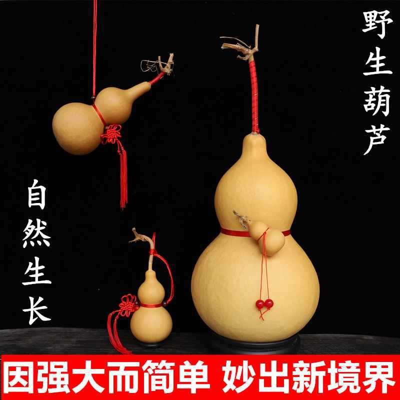 ke3c天然葫芦特大号文玩葫芦摆件真小葫芦挂件客厅自然生长葫芦带