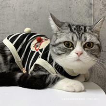 猫咪衣服秋季秋装的蓝猫布偶宠物小猫秋冬猫猫冬季幼猫秋冬装背心