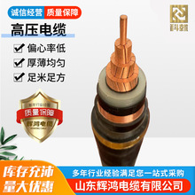 8.7/15KV铜芯YJV22铝芯YJLV22高压电缆厂家定制各种型号1芯3芯