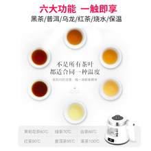 。煮茶器喷淋式全自动蒸汽煮电茶炉养生壶办公室小型多功能蒸黑茶