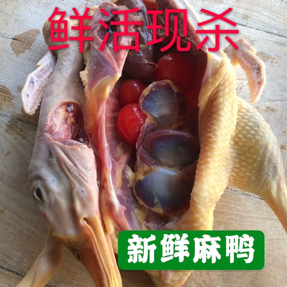 现杀农家散养鸭子麻鸭新鲜鸭肉水鸭旱鸭土鸭笨鸭鸭腿老鸭整只