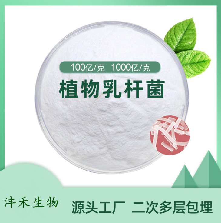 植物乳杆菌 乳杆菌原料粉 厂家直销 现货包邮 量大从优