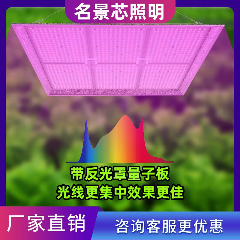 反光罩量子板植物生长灯 拼接LED模块植物灯 植物工厂600w补光灯