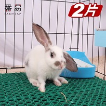一件代发/番易宠物可裁剪垫笼子兔笼踏板脚垫咬兔笼拼接兔子脚垫