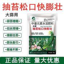 蒜苗专用肥料大蒜抽苔松口剂蒜头膨大素增粗拉长黄叶干尖灵叶面肥