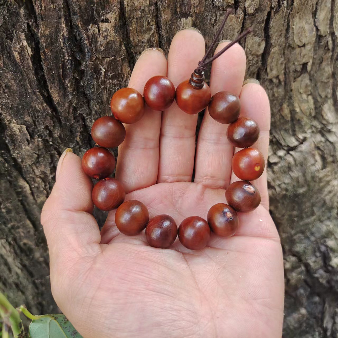 原生态太阳子菩提佛珠手串13-15mm抛光带三通佛塔念珠男女通用