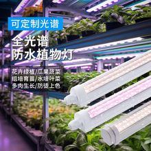 LED全光谱植物生长灯T8植物灯室内水培蔬菜多肉育苗组培生长灯