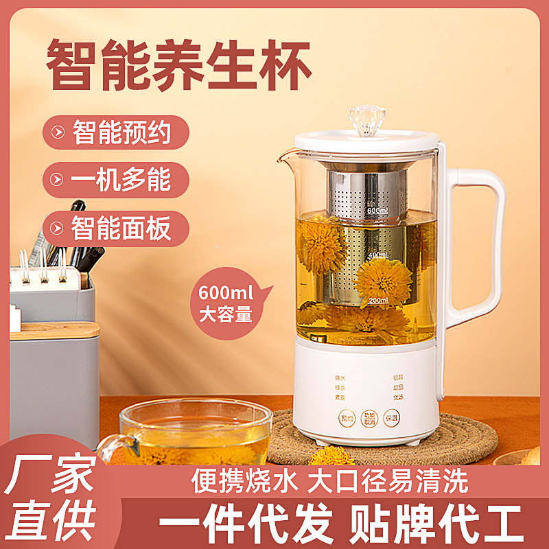 Scented Tea Health Pot Mini Office Home 600ml Small Electric Stew Cooker Health Bottle Kettle Electric Kettle