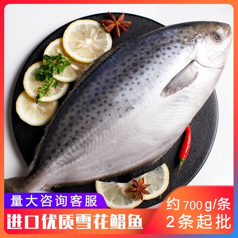 雪花鲳鱼冷冻海鲜阿根廷雪花鲳银鲳鱼鲜嫩海鲳鱼500g冷冻海鲜批发