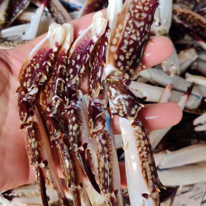 冷冻蟹钳螃蟹腿 蟹脚 捞汁麻辣 商用食材 海鲜水产 蟹钳螃蟹腿3斤